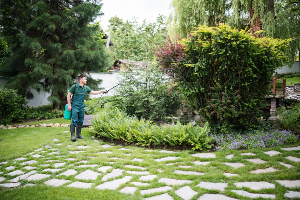 Best Best Pest Control Companies  in Murphy, MO