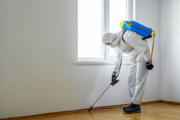 Best Pest Control for Homes  in Murphy, MO