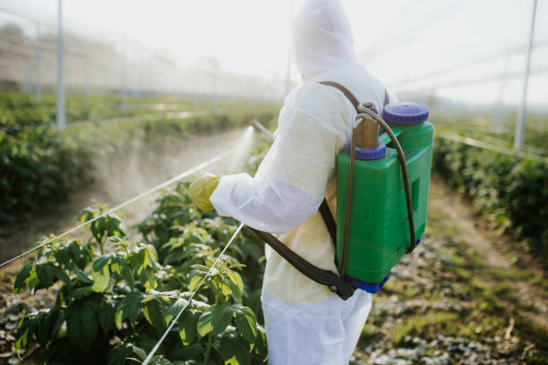Reliable Murphy, MO Pest Control Solutions